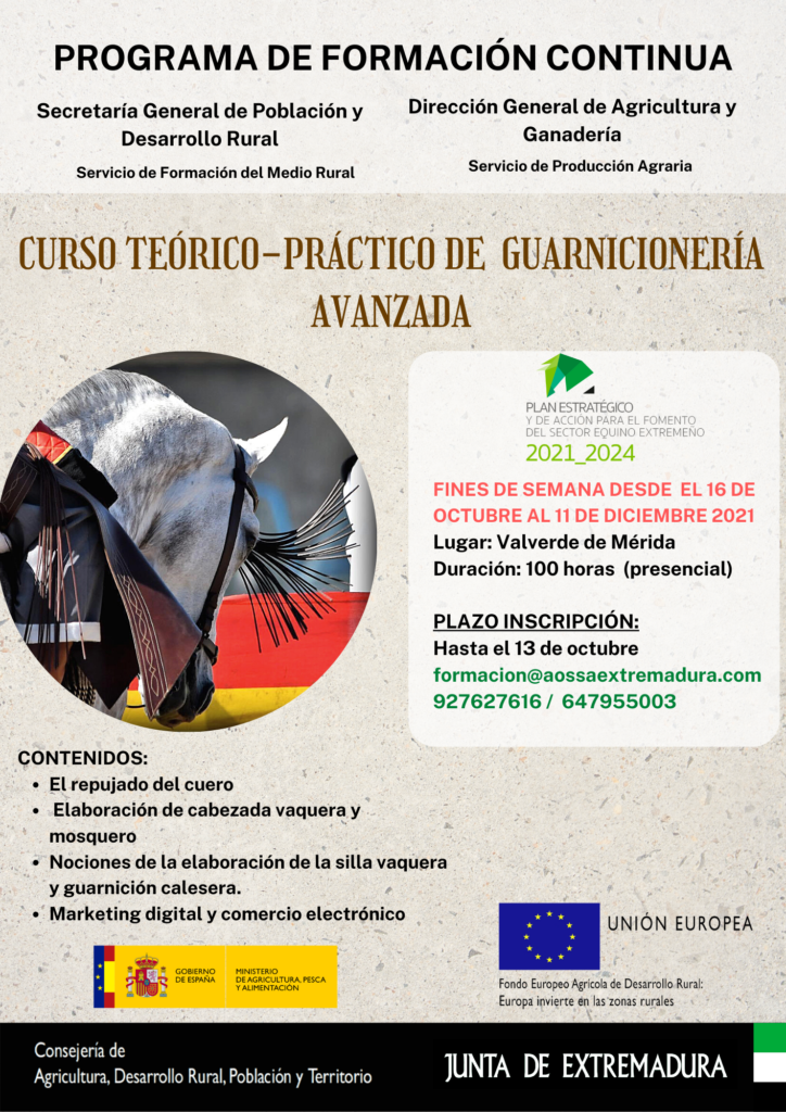 CURSO TEÓRICO PRÁCTICO AVANZADO EN GUARNICIONERÍA