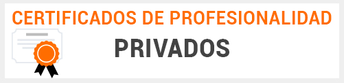 Aula Virtual - Certificados de profesionalidad